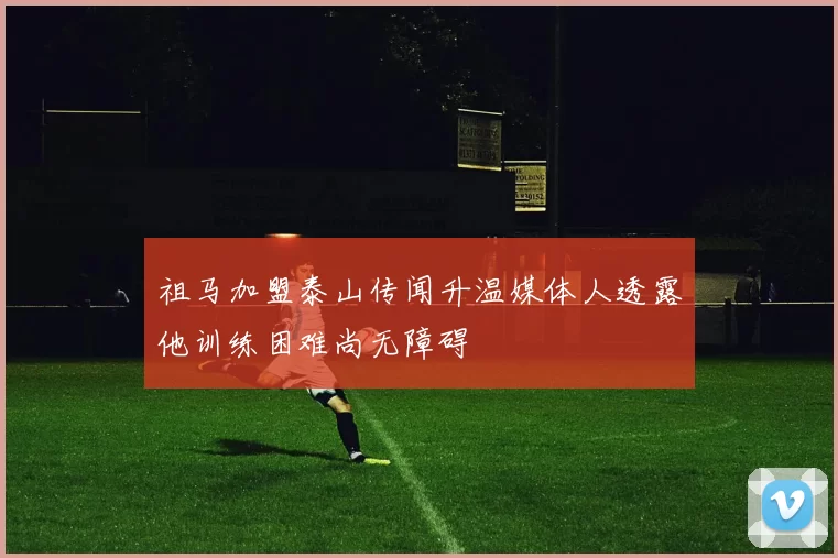 祖马加盟泰山传闻升温媒体人透露他训练困难尚无障碍