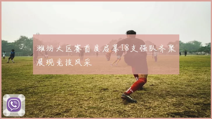 潍坊大区赛首度启幕18支强队齐聚展现竞技风采