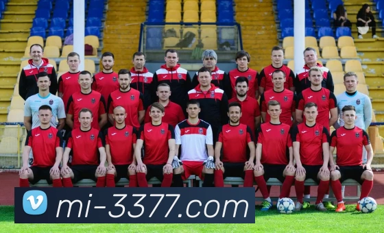 3377体育平台生态图